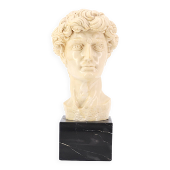 Bust of David by Michelangelo, 1970s