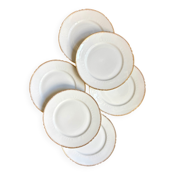 6 gold Limoges porcelain dessert plates