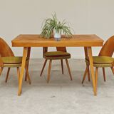Table a manger a rallonge par Frantisek Jirak pour Tatra , 1960n