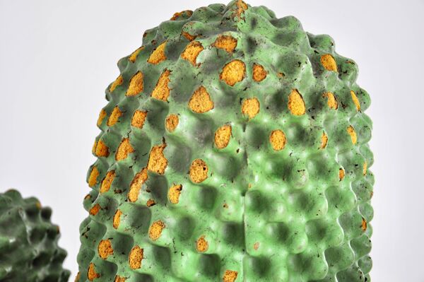1er Porte-manteau Cactus par Guido Drocco et Franco Mello pour Gufram, 1968