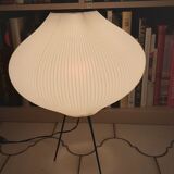Rispal Lamp 50s