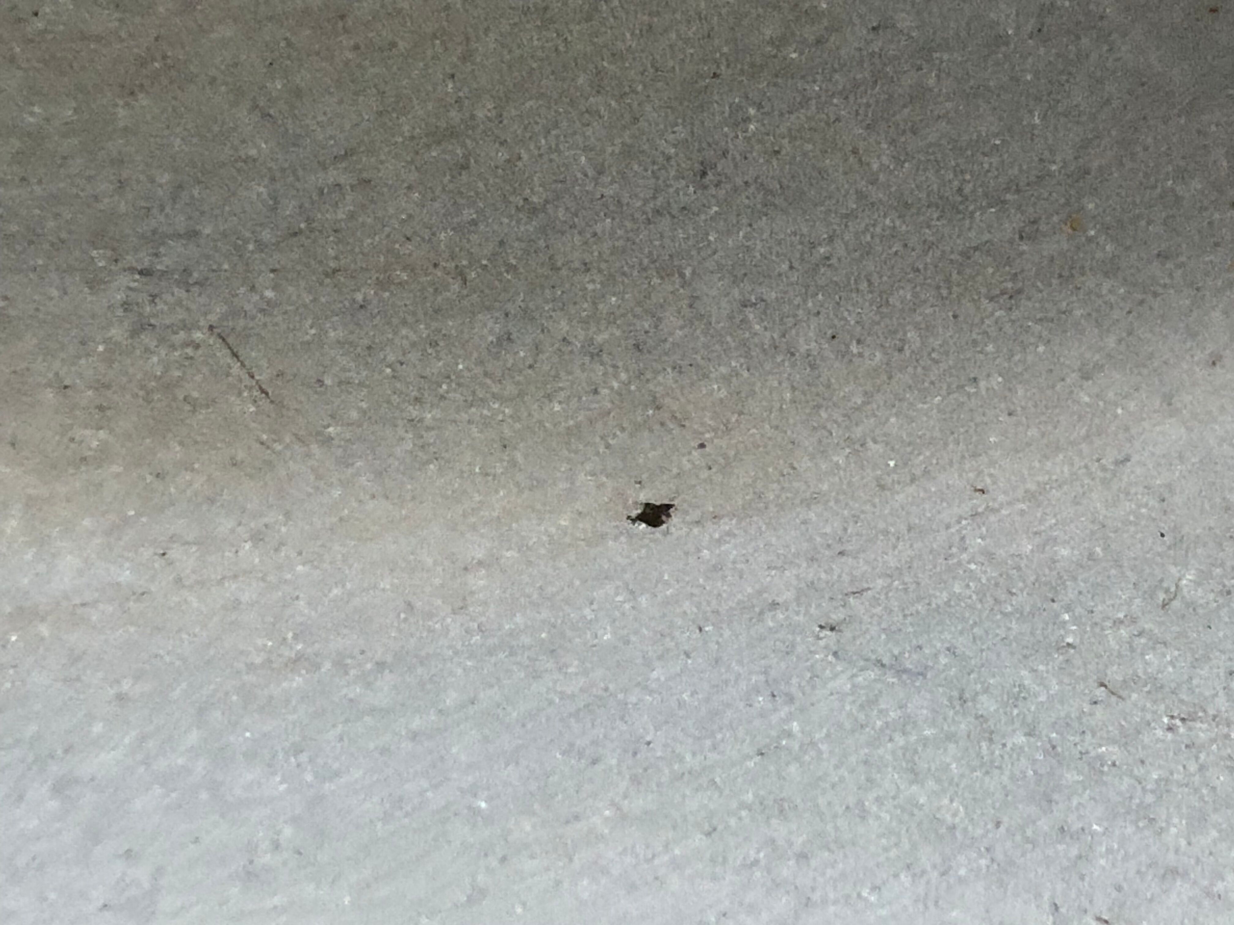 Cocotte Cocelle Loewy Creuset