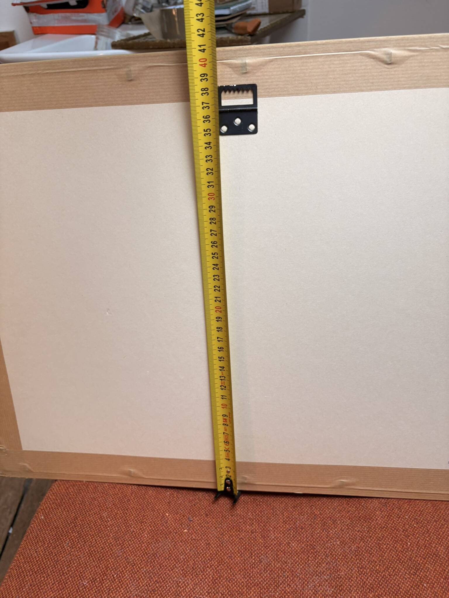 19th Century Gravure Anatomy Nose Mouth Plate Head Morphology Bernard Julien