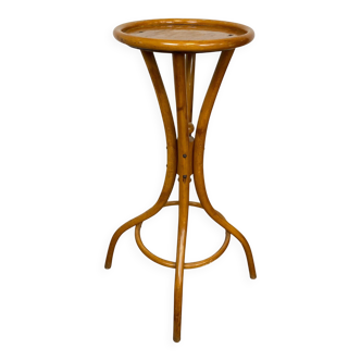 Plant support by Thonet