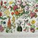 Old engraving 1928, Flower 2, plant, flowerbed, horticulture • Lithograph, Original plate