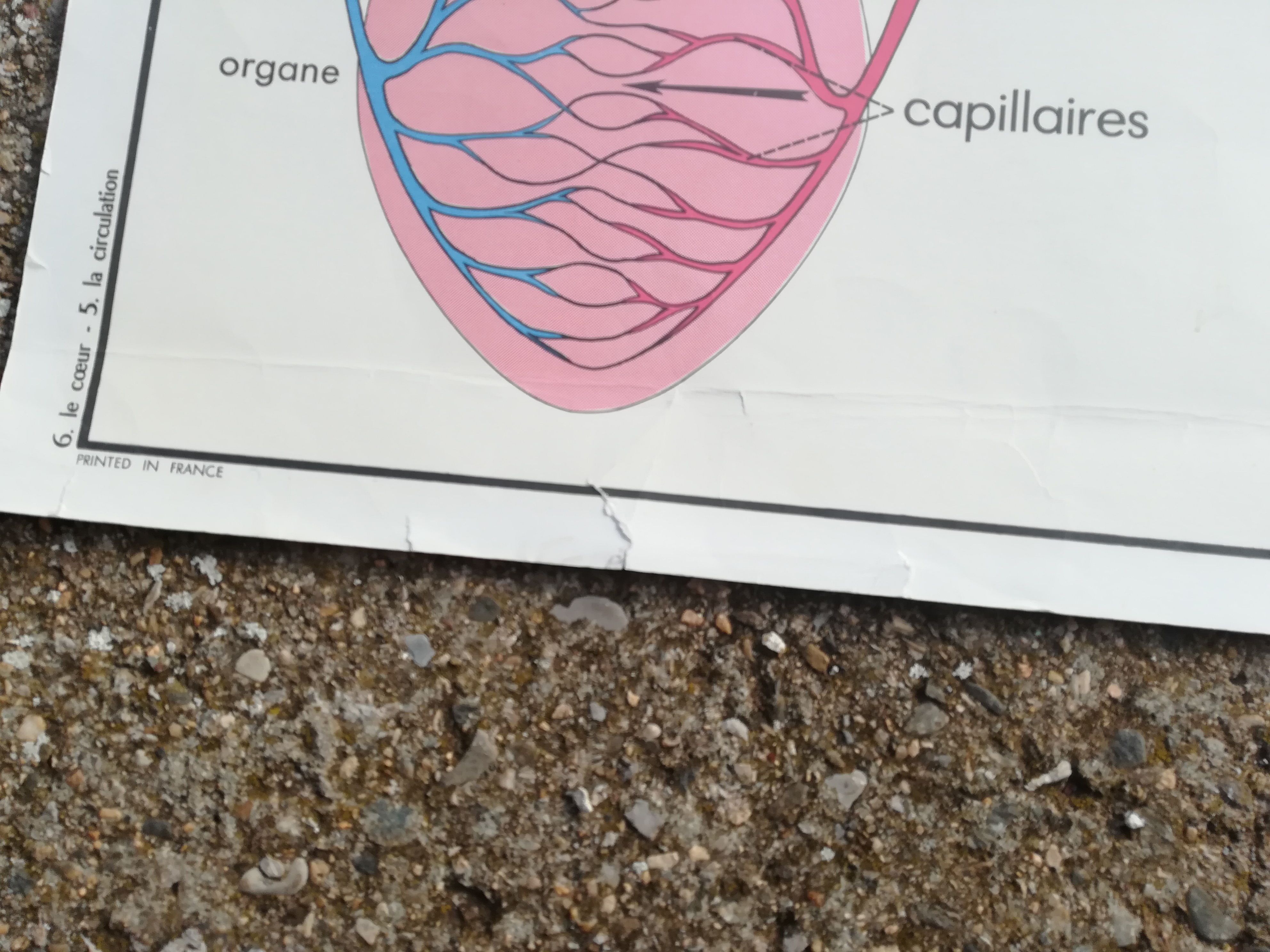 Rossignol school poster N°5 The heart N°6 Vintage traffic