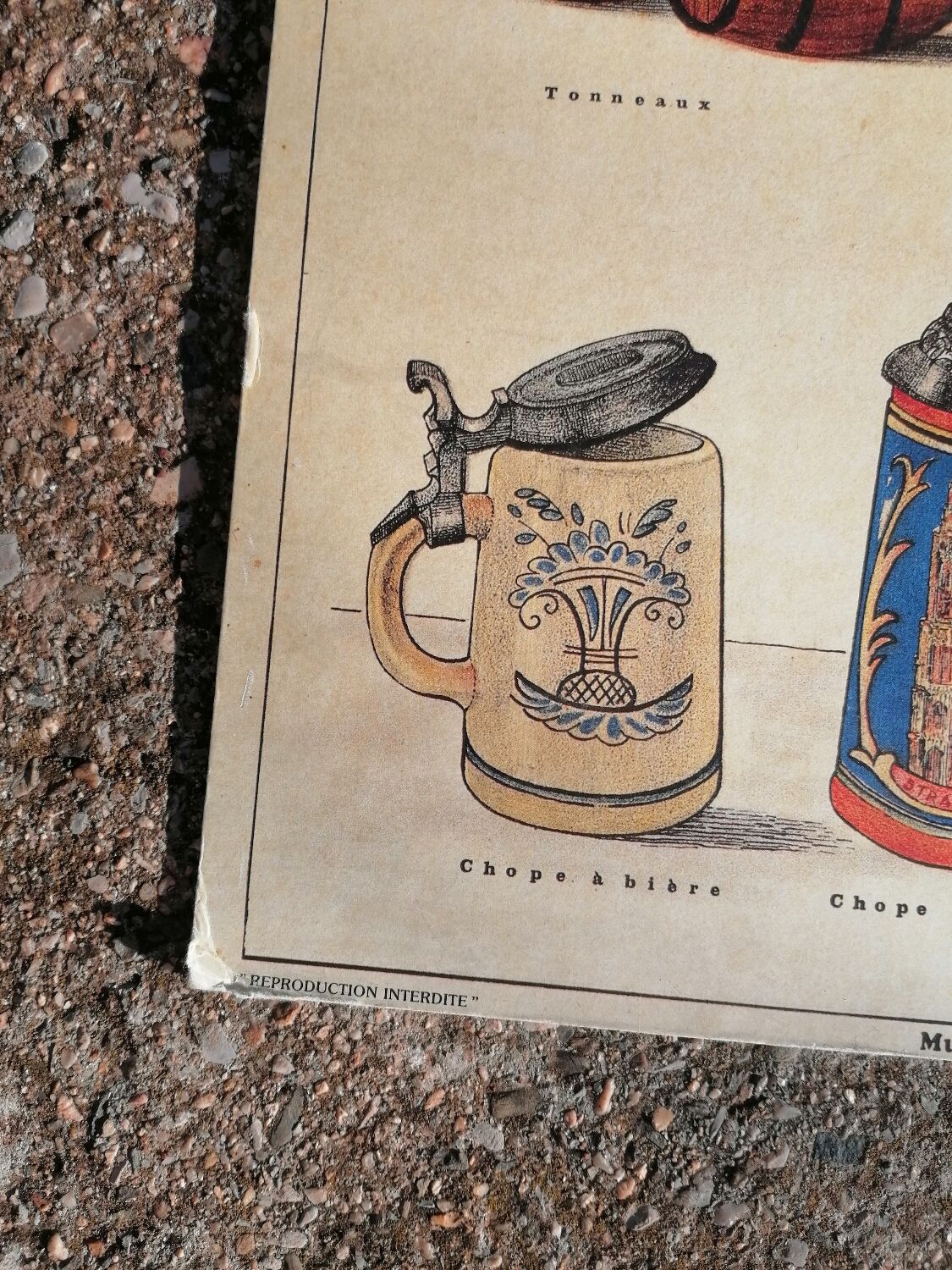 Educational poster La Bière - Musée scolaire Les fils d'Émile Deyrolle