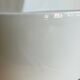 Large Art Deco vase by Charles Catteau for Royal Boch