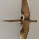 Brass albatross