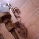 3 gold metal torchere wall lights