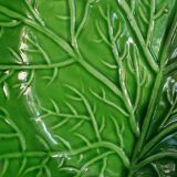 Salad bowl cabbage slurry