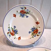 Set of 5 plates from Salins les Bains model "Poppies" in good condition.