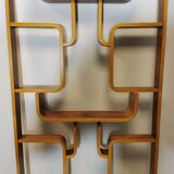Room Divider by Ludvik Volak for Drevopodnik Holesov