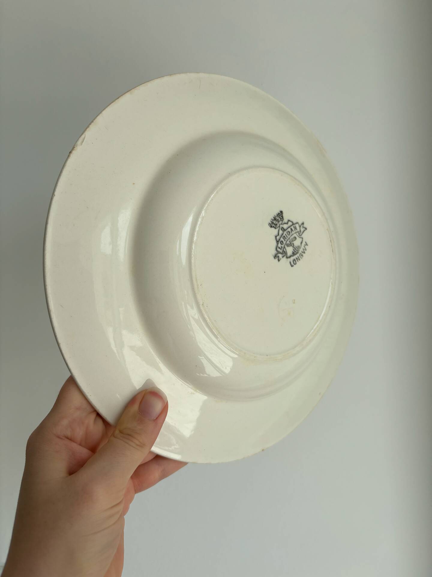 Hollow plate Longwy ironstone polychrome purple and green model L