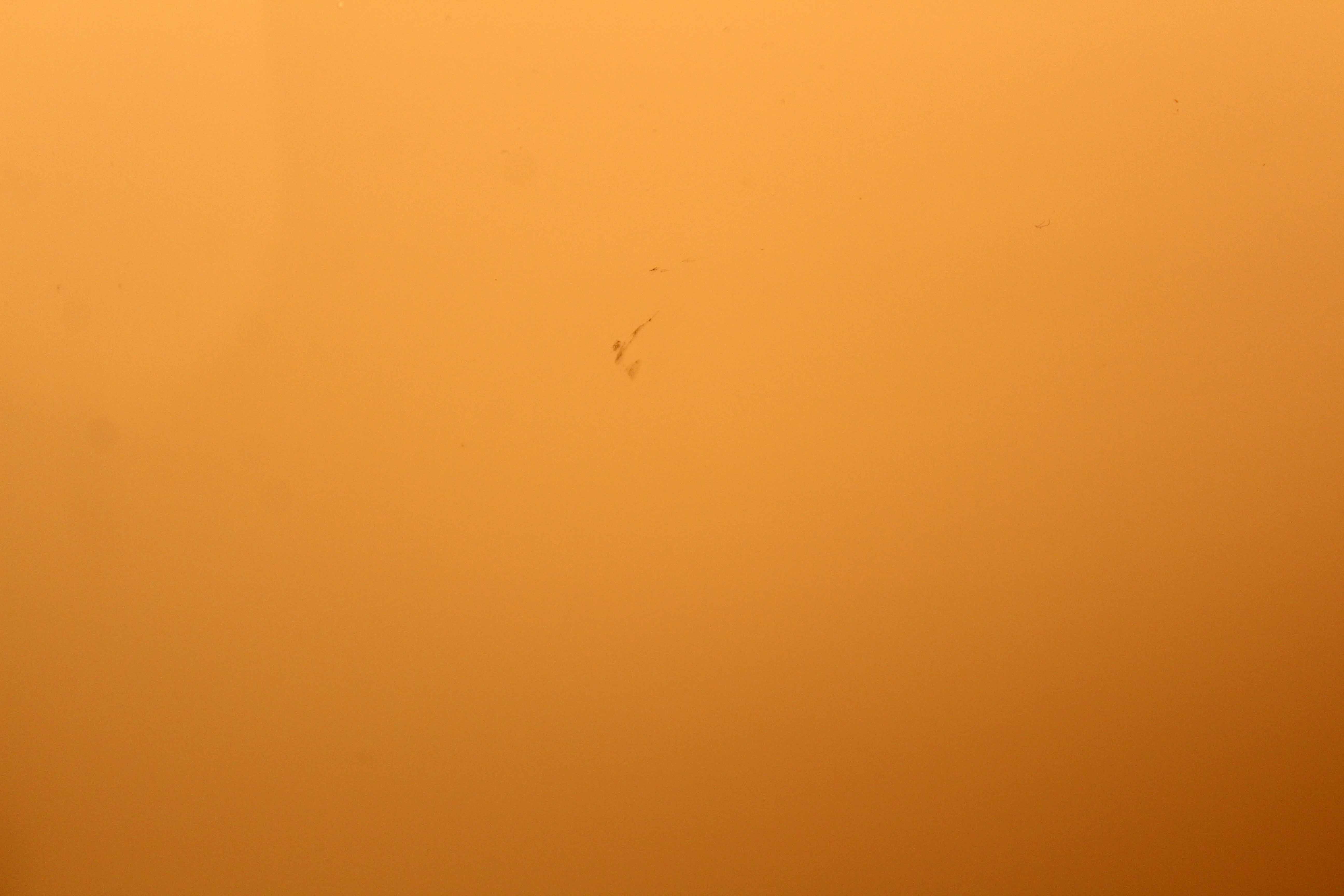 Pair of ceiling lamps Bauhaus 1930