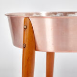 Aluminum plant holder on beech legs