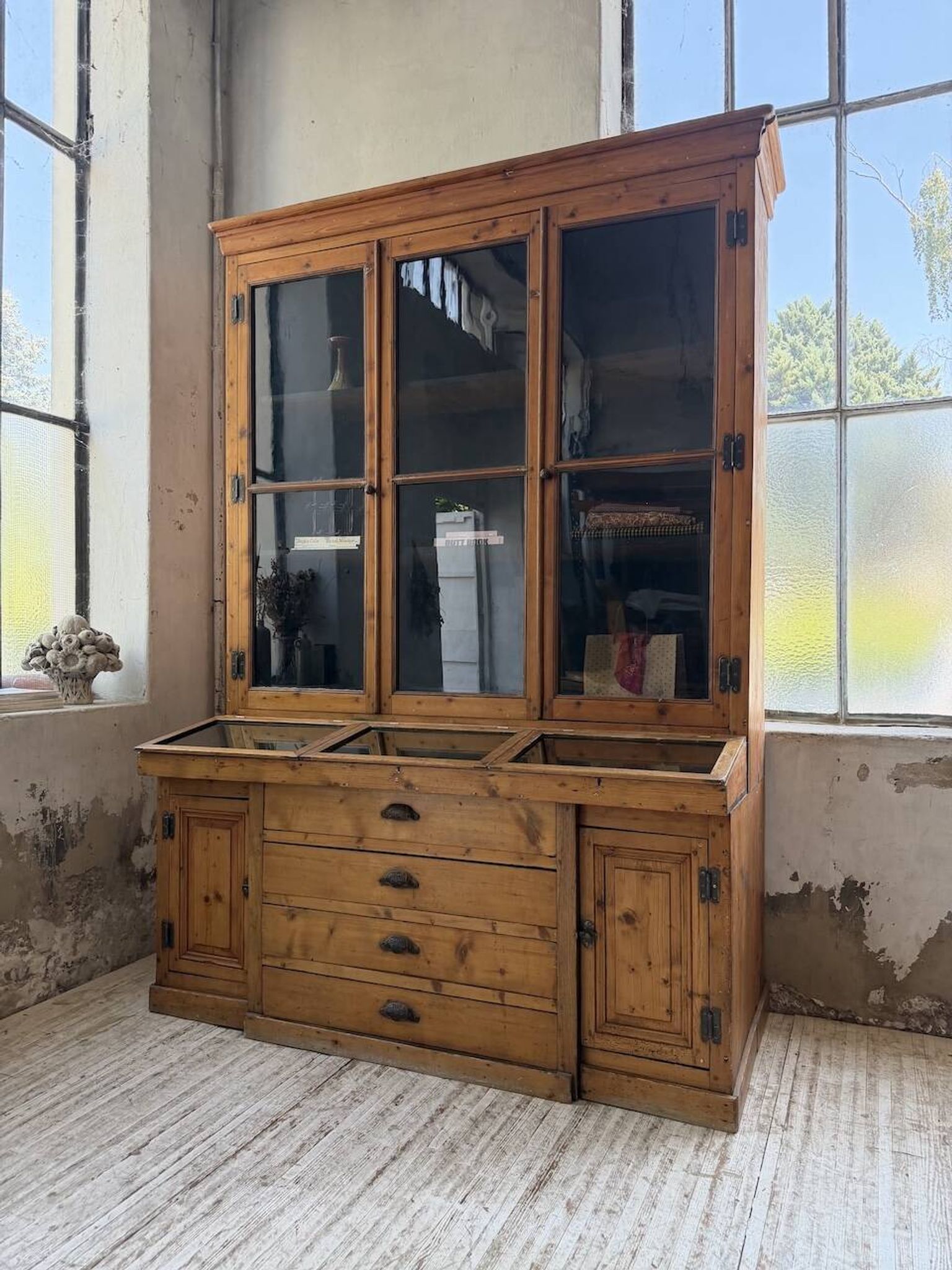 Library grocery Napoleon 19th century