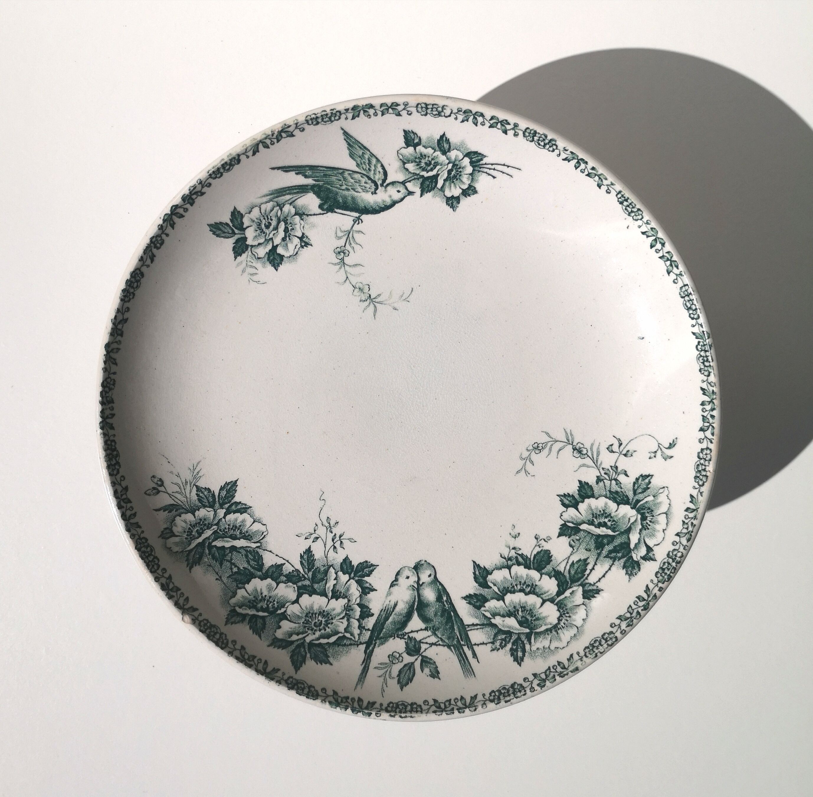 Model compotier Mésanges Saint Amand