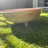 Fruit bowl