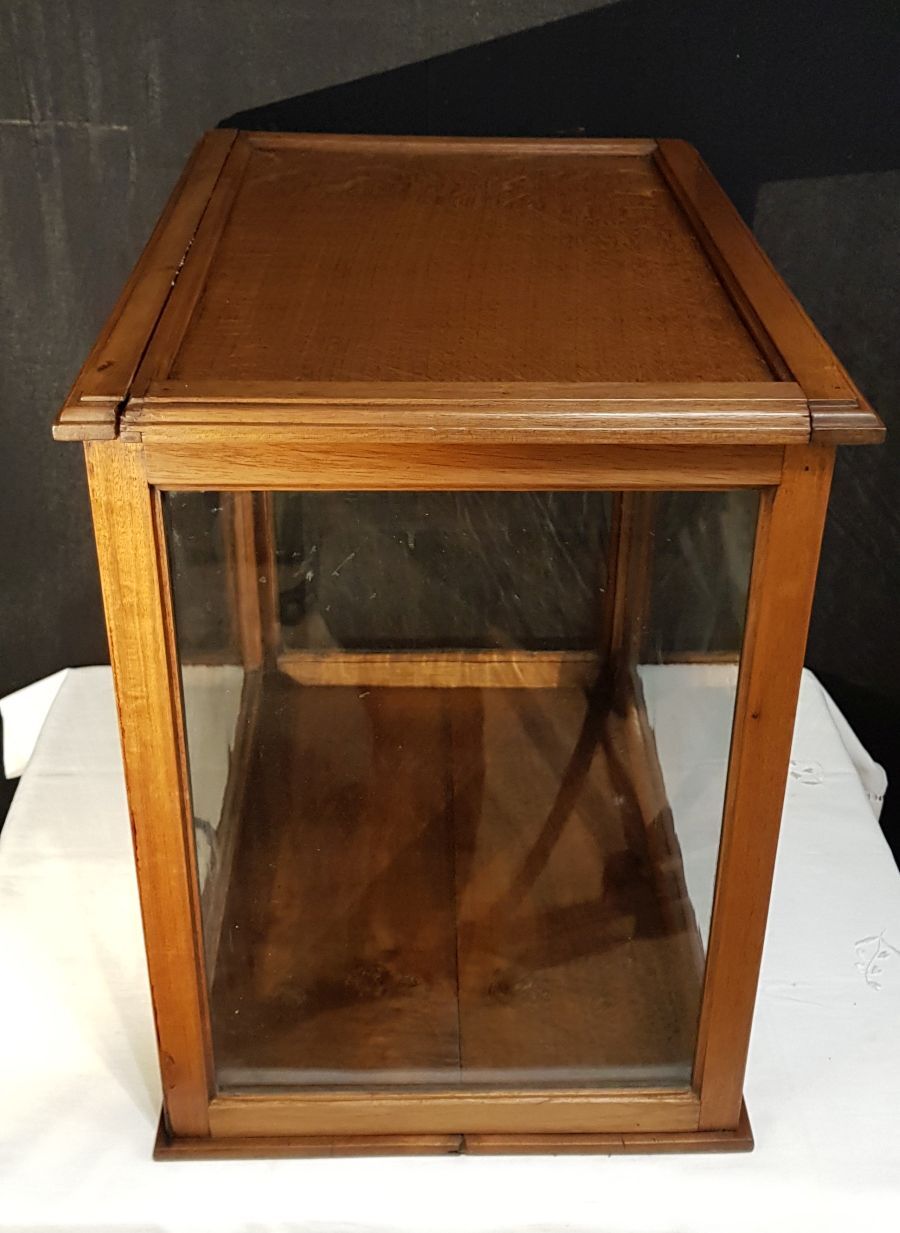 Showcase to be laid by trade