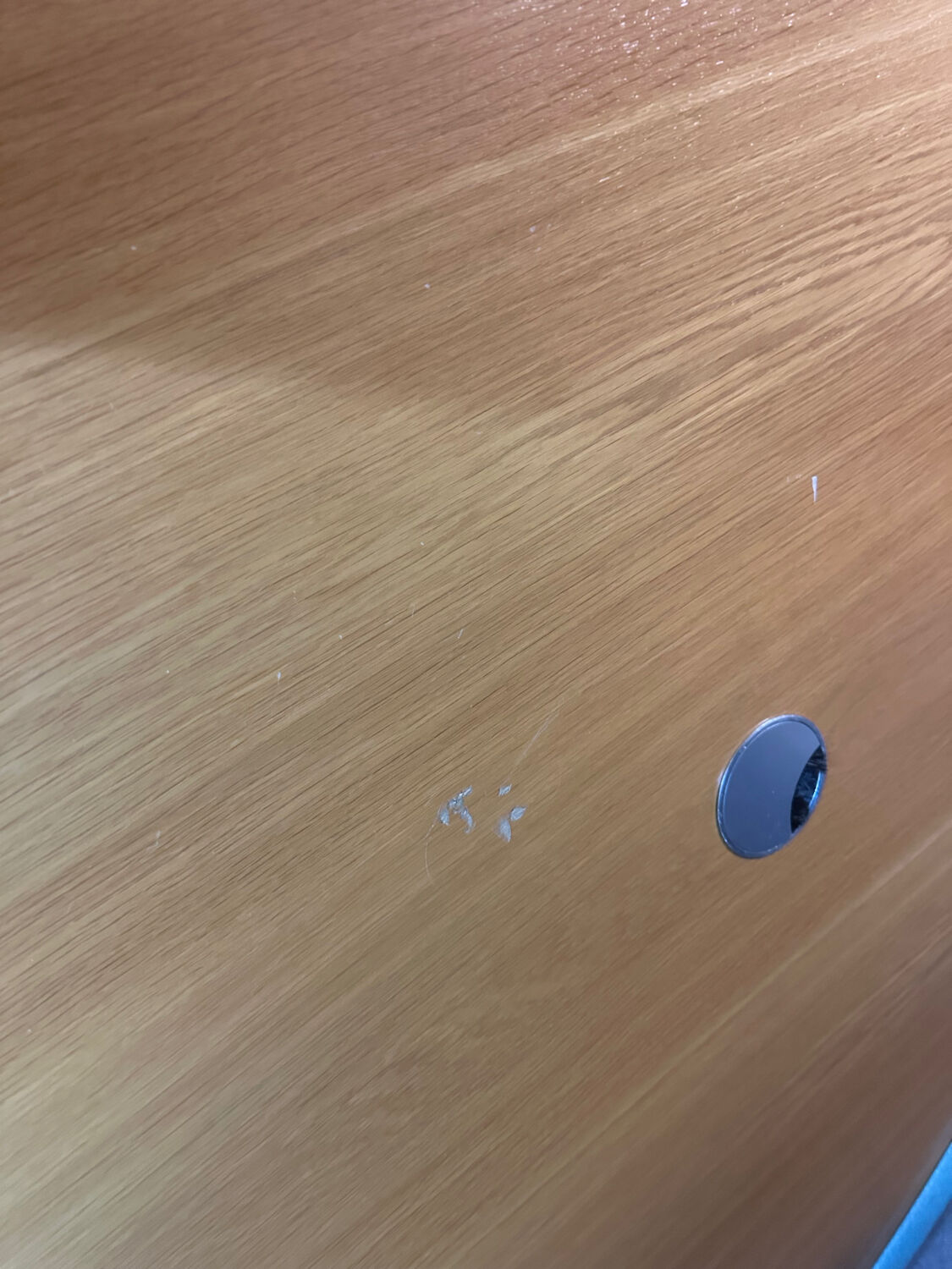 Grande table Ovale ou Bureau Florence Knoll