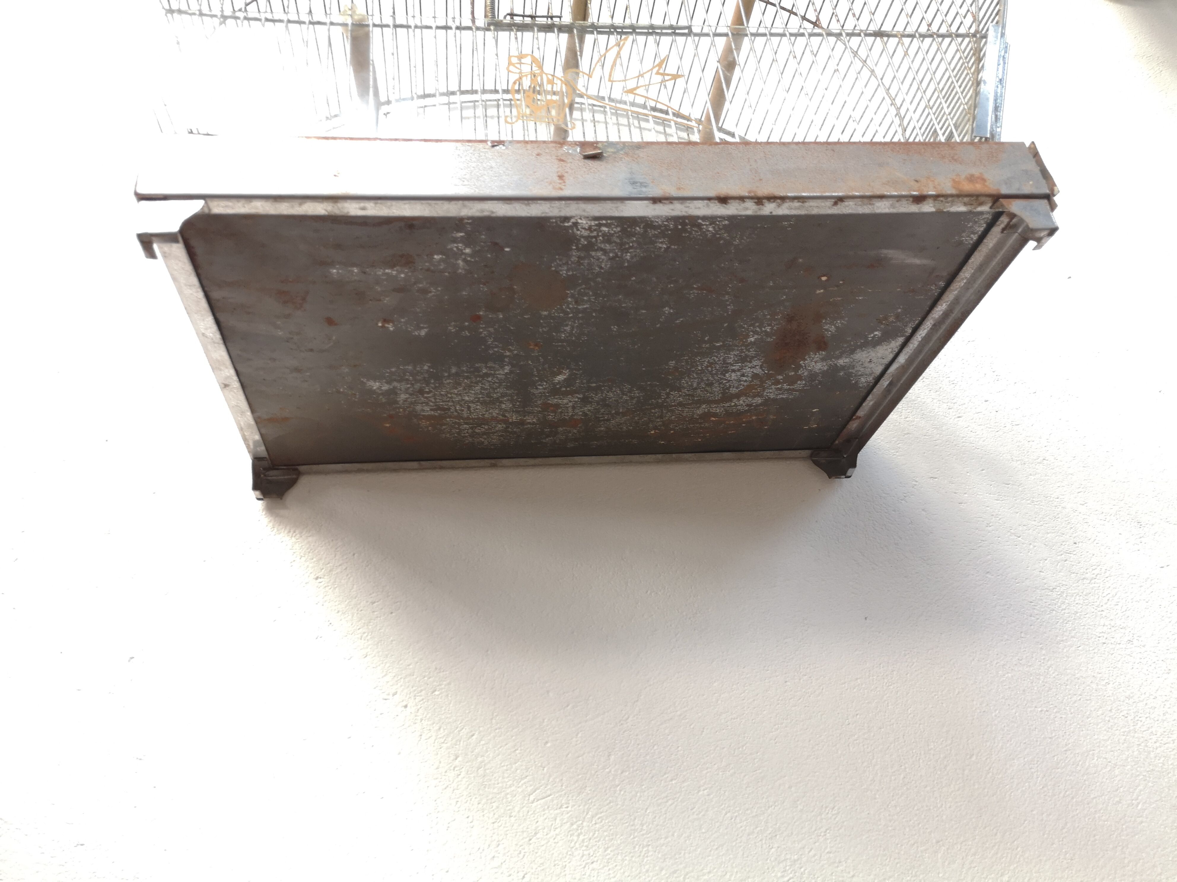 30 year old bird cage