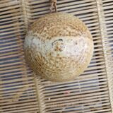 Decoration or wall vase stoneware dried flowers