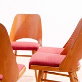 Mid Century dining chairs by Radomír Hofman, 1960´s, set of 6