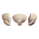 Art Deco wall lights in patinated plaster, France, 1925, set of 3