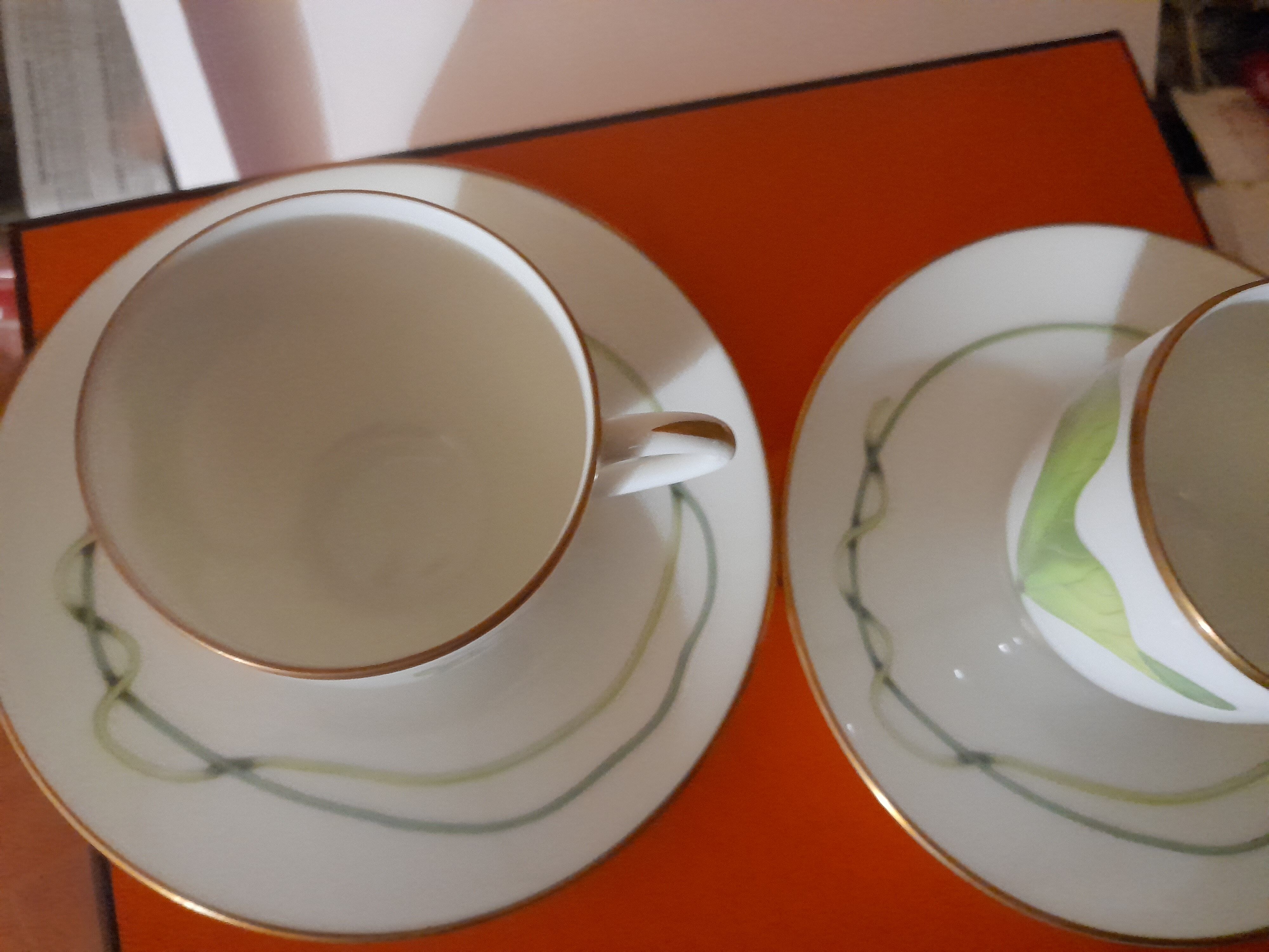 Hermes coffee cups nile