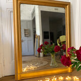 Ancient mirror 53x117cm