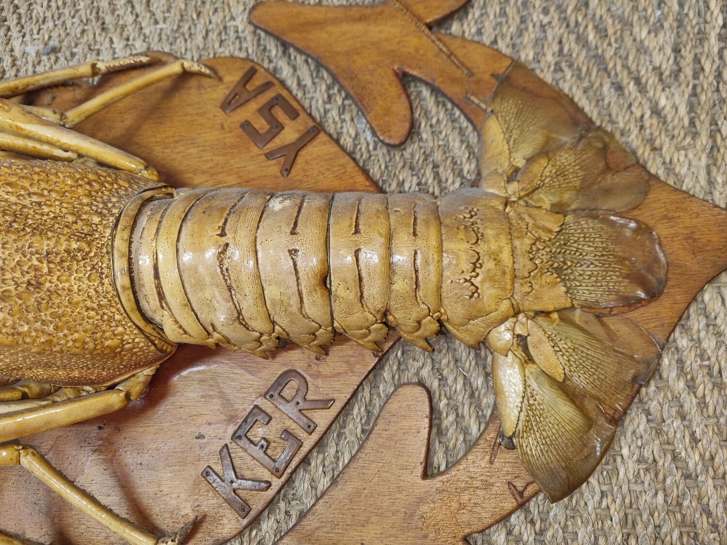 Naturalized lobster of the mid-twentieth century