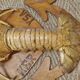 Naturalized lobster of the mid-twentieth century