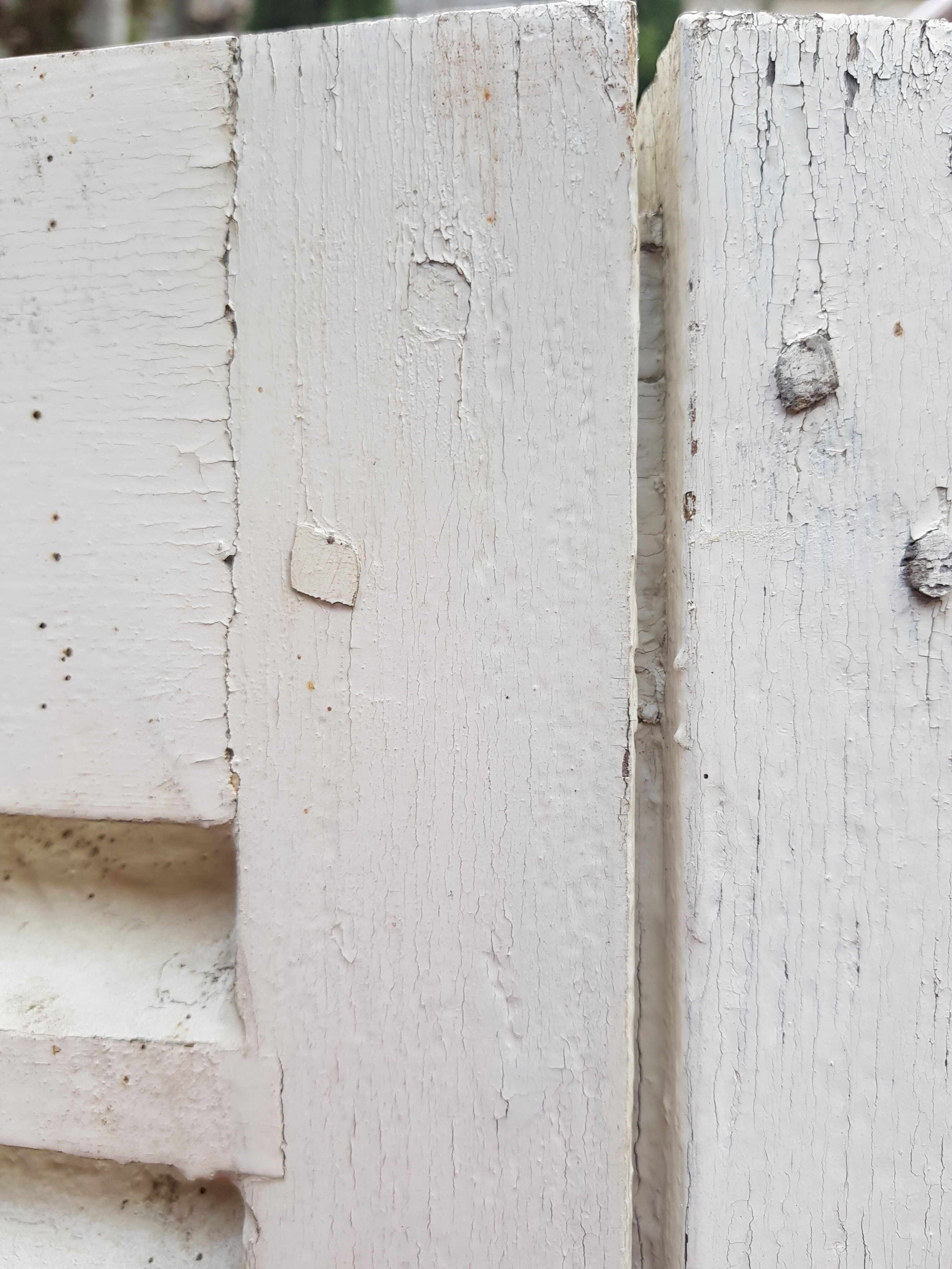 Pair of old shutters with louvers
