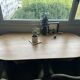 Oval dining table Vienna 200 x 100 mango wood