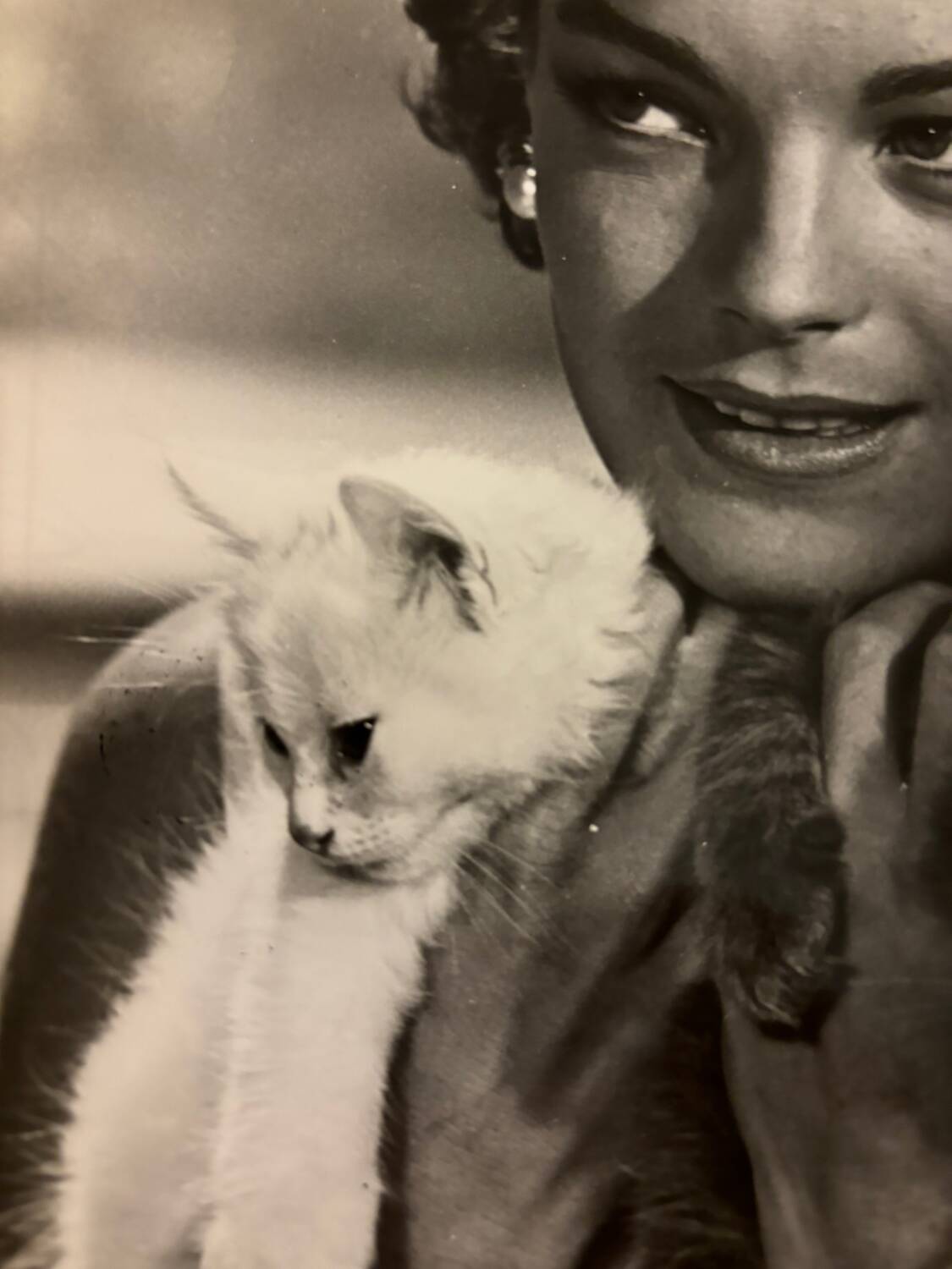 Original film photo Romy Schneider in Chanel outfit 1960