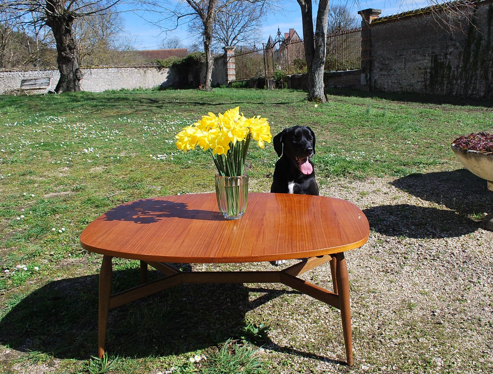 Smorrebrod liftable table