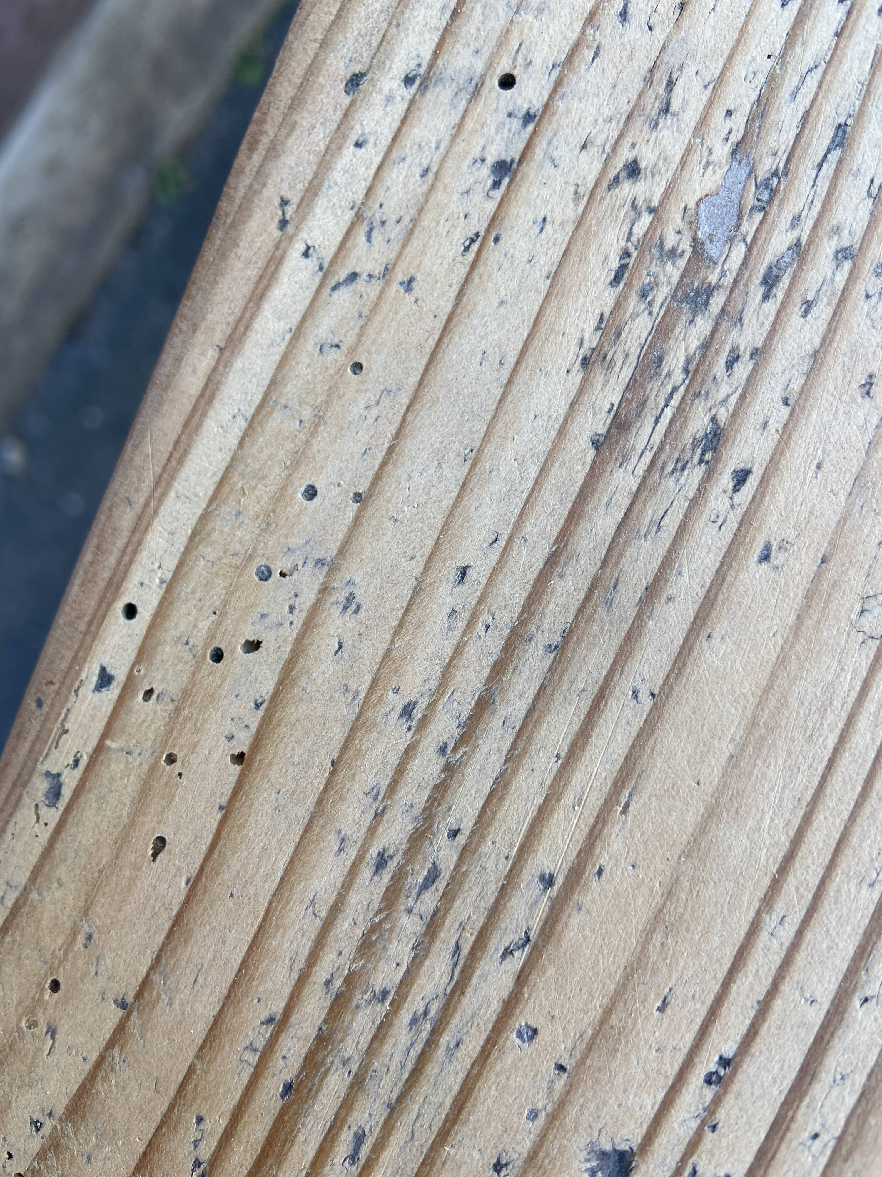 large farmhouse table Alsace 190cm fir 1900