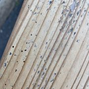 large farmhouse table Alsace 190cm fir 1900