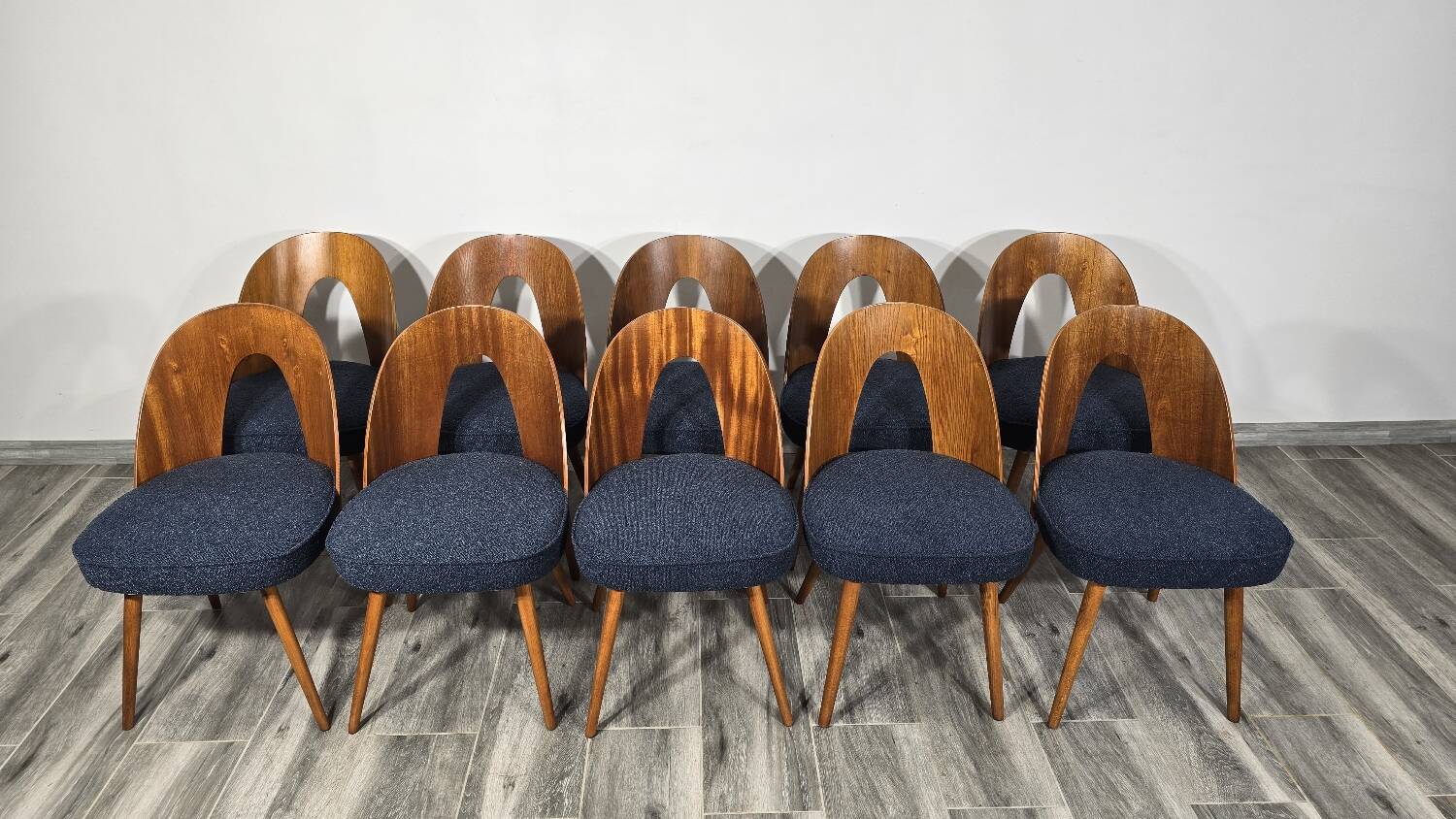 Dining Chairs by Antonin Suman, 1960s, Set of 10
