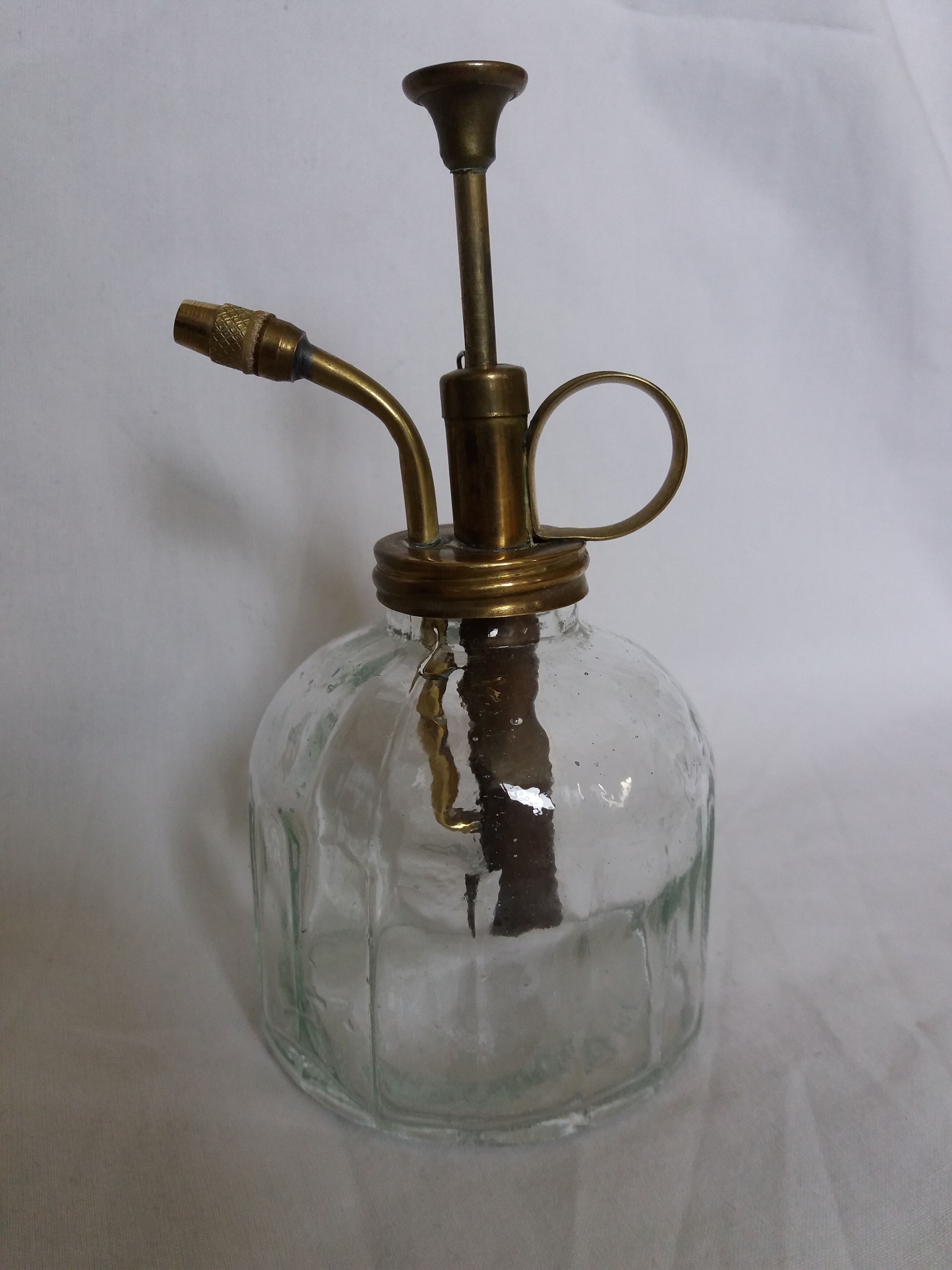 Glass and brass plant spray