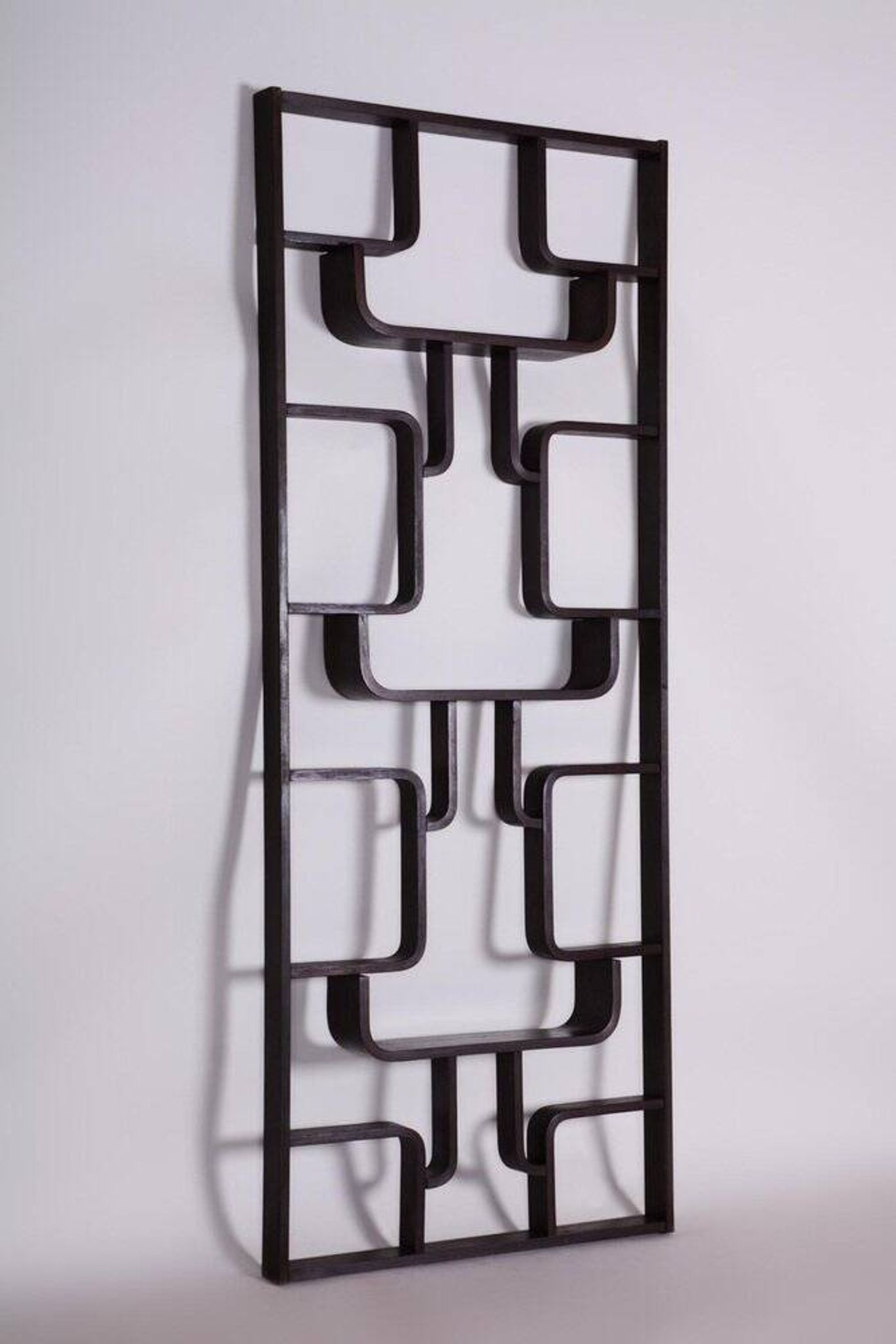 Room Divider by Ludvik Volak for Drevopodnik Holesov, 1960s