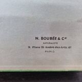Boîte d'entomologie d'insectes