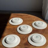 Set of 5 blue English plates D23