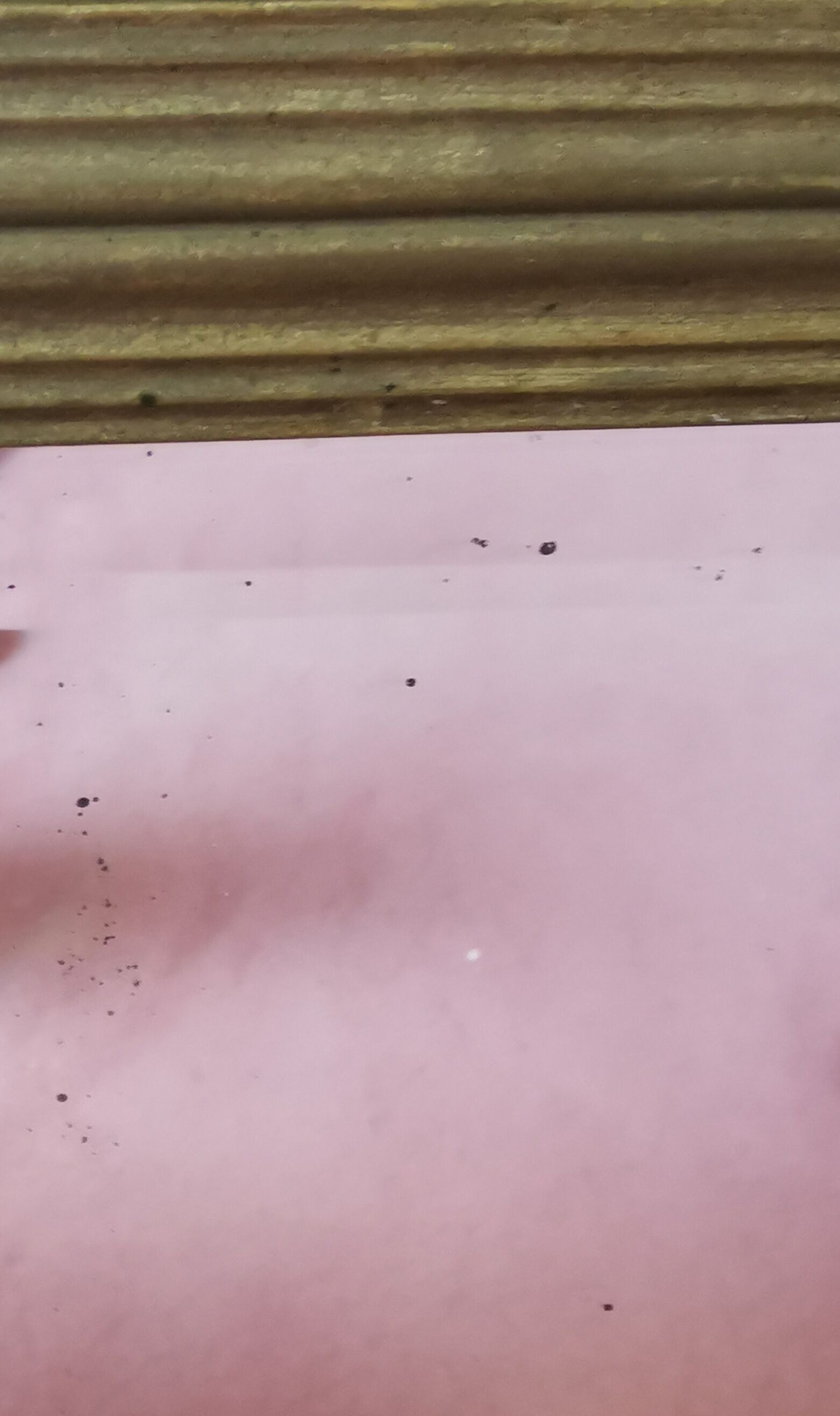 Large Art Deco mirror gilded wood  77x40cm