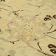 1970s handwoven anatolian beige carpet 156 cm x 281 cm