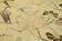 1970s handwoven anatolian beige carpet 156 cm x 281 cm