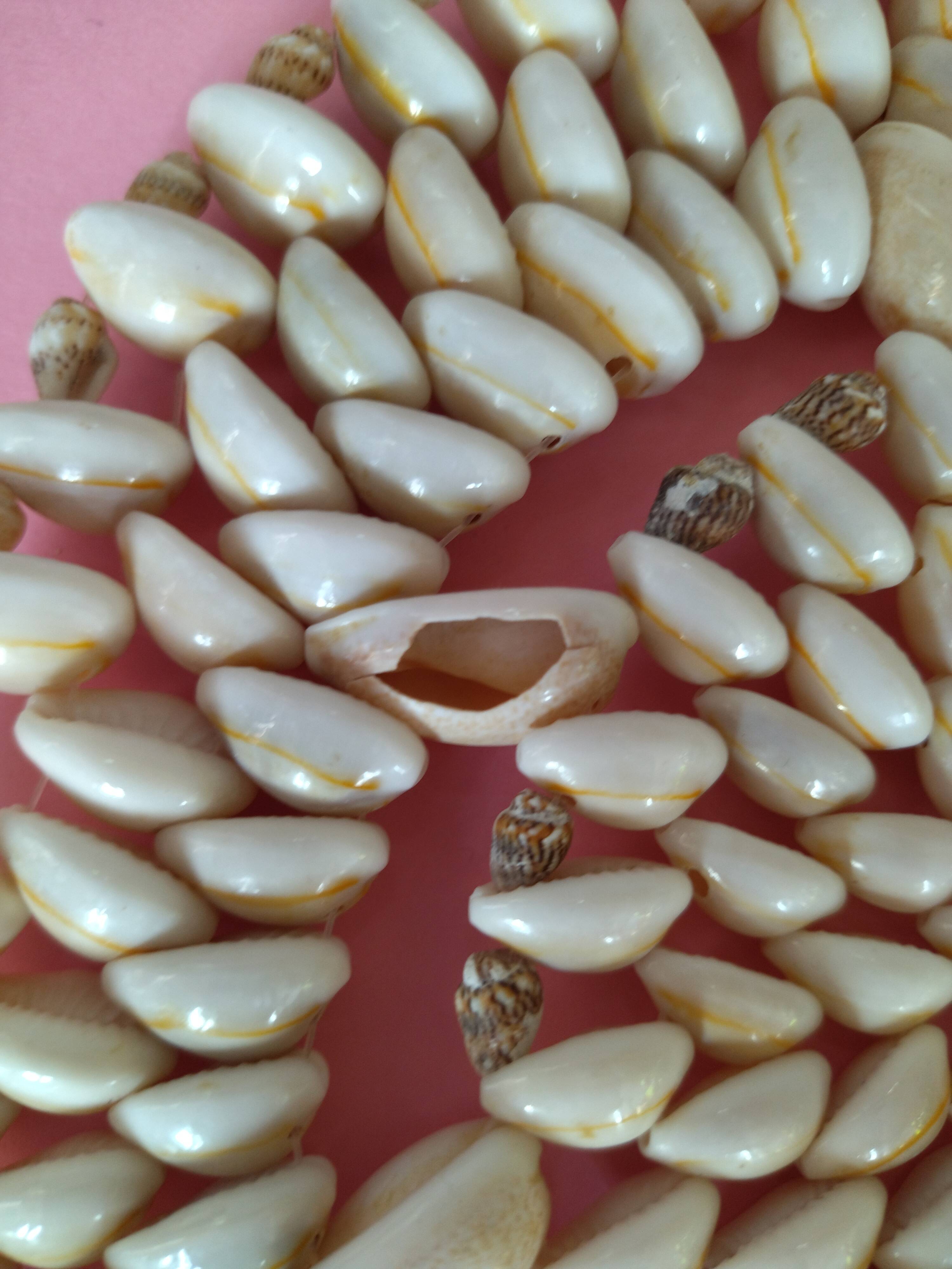 Old vintage shell coaster