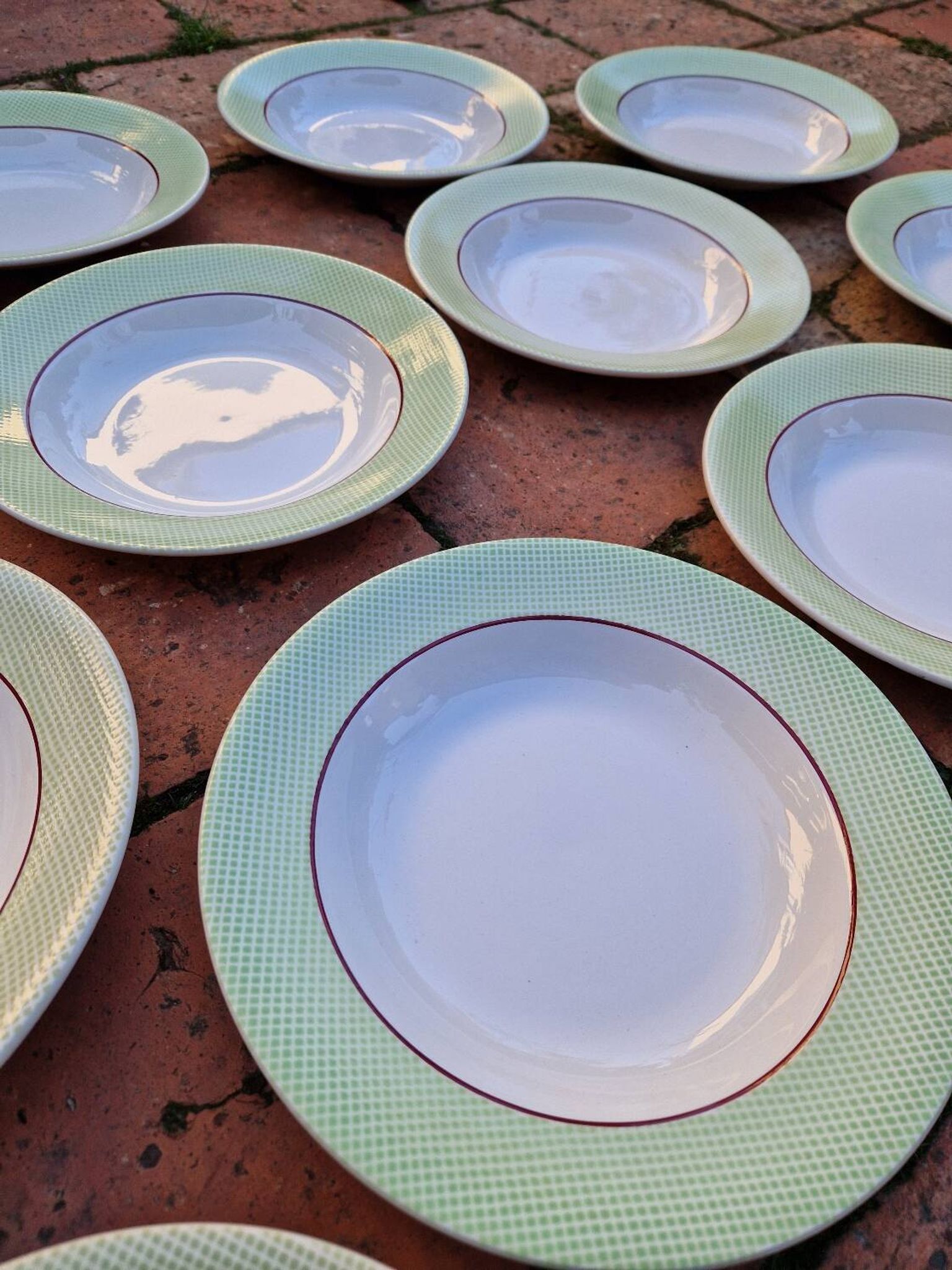 Set of 11 Isoard Pattern Soup Plates, Salins Manufacture