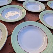 Set of 11 Isoard Pattern Soup Plates, Salins Manufacture
